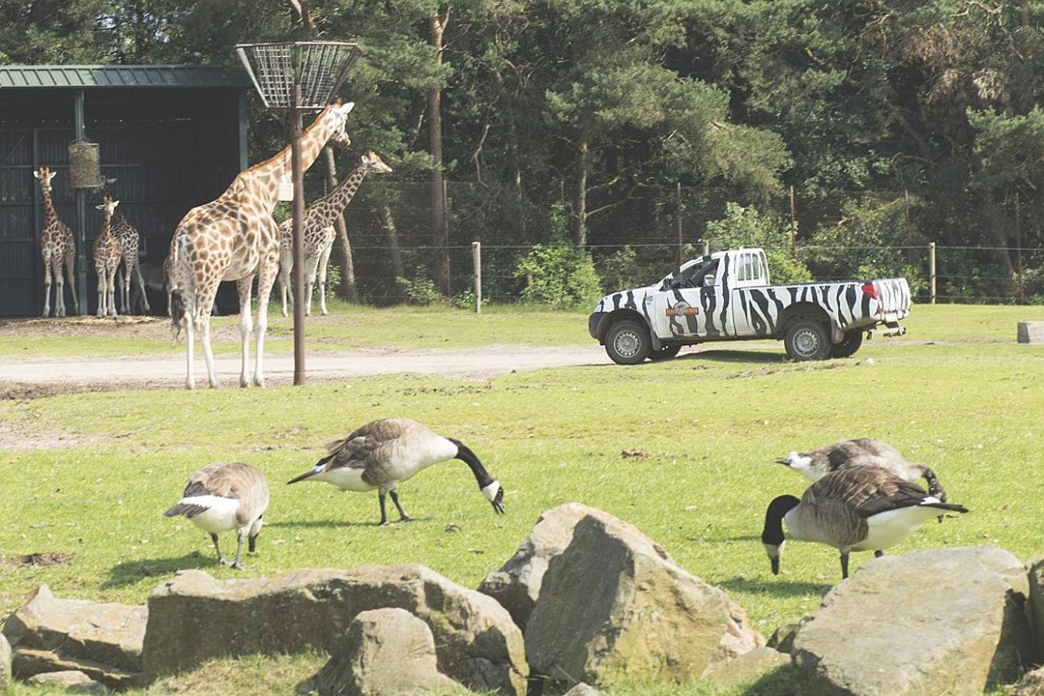 Camping Marvilla Parks Kaatsheuvel - Roan Buitenkant foto